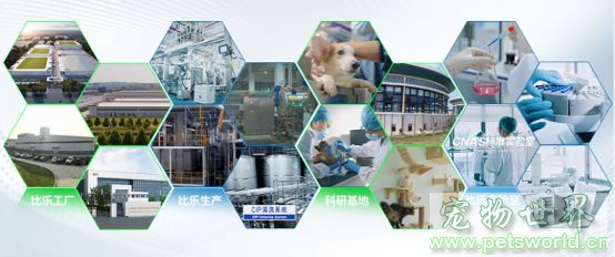点此在新窗口浏览图片